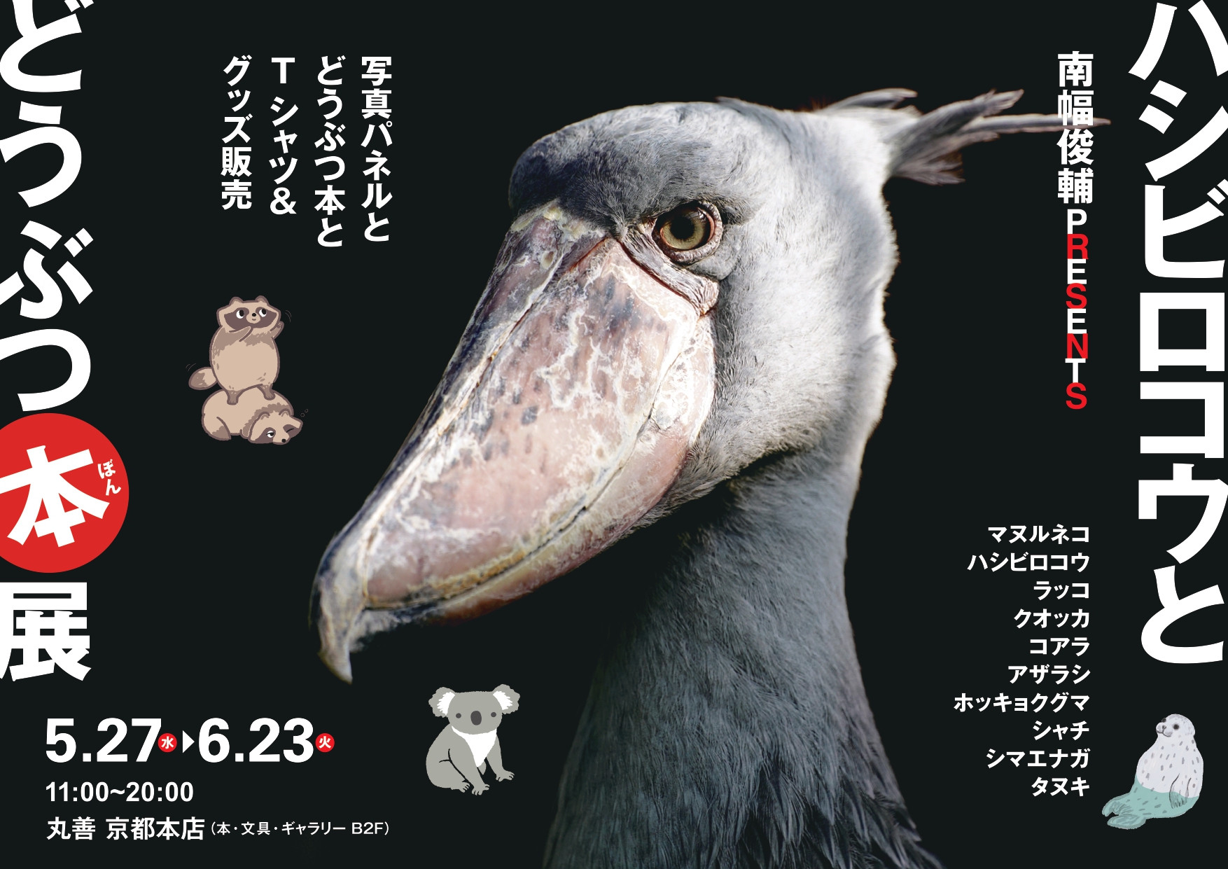 ハシビロコウとどうぶつ本展：【丸善】京都BAL B2F | BAL Kyoto & Annex